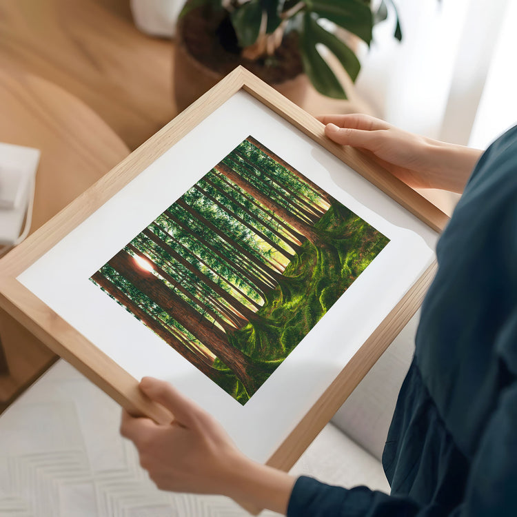 Fine Art Prints