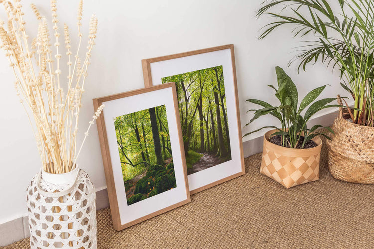 Forest landscape art prints for nature lovers. Woodland art prints by nature artist Kate Broadhurst.