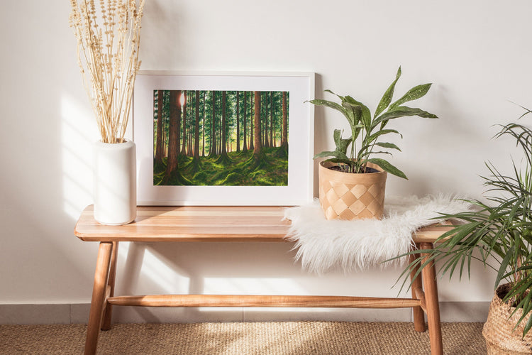 The Forestscapes Collection