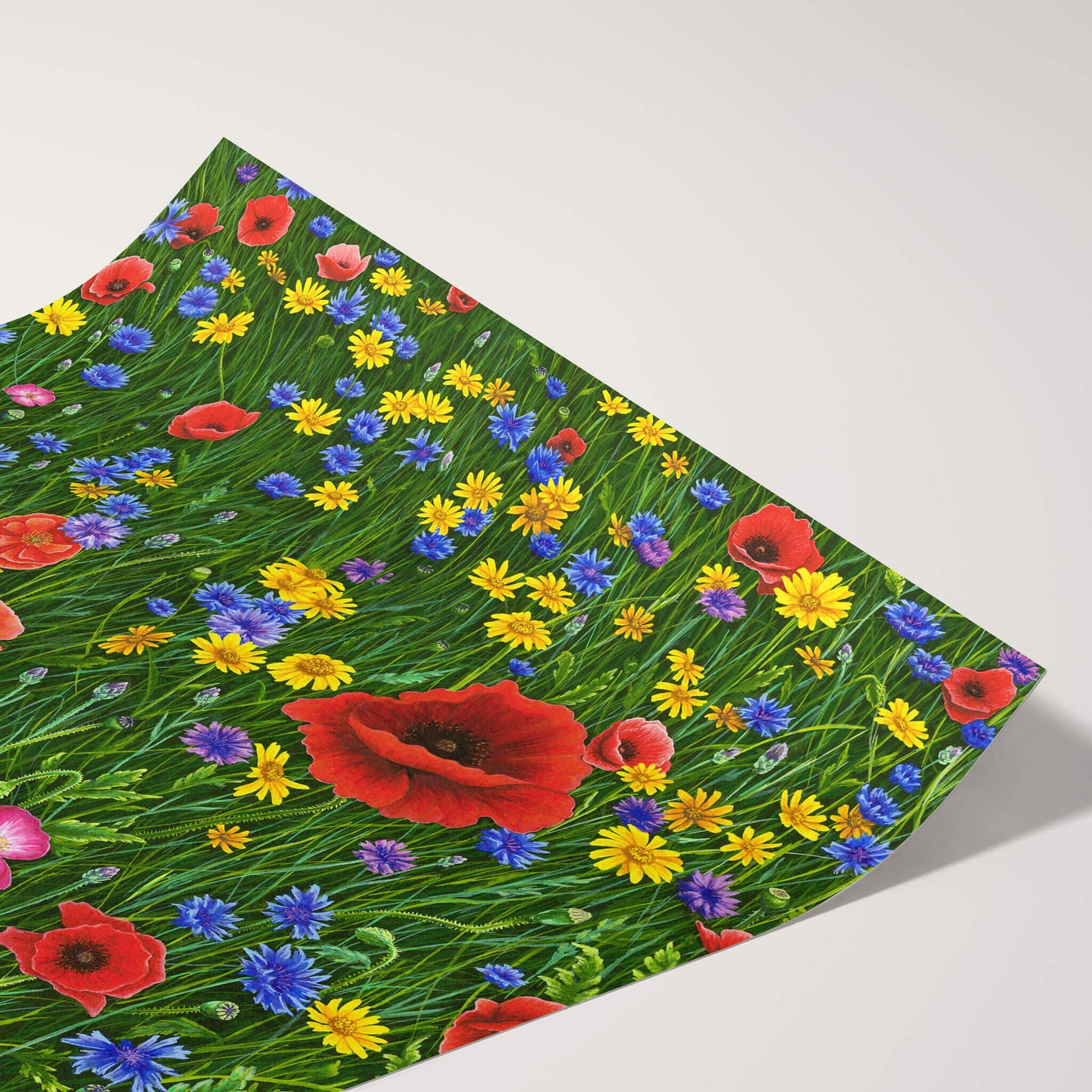 Among Wildflowers Print