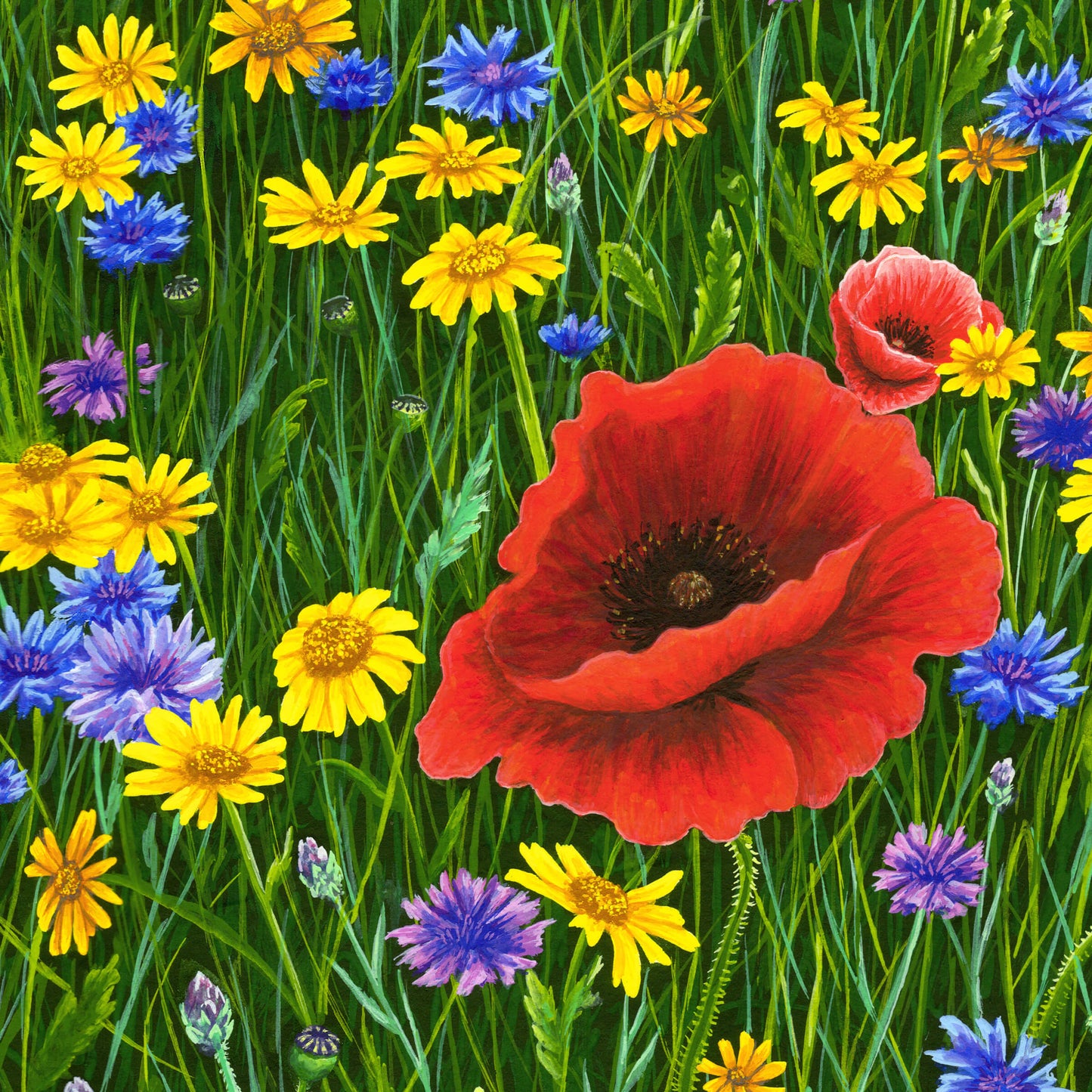 Among Wildflowers