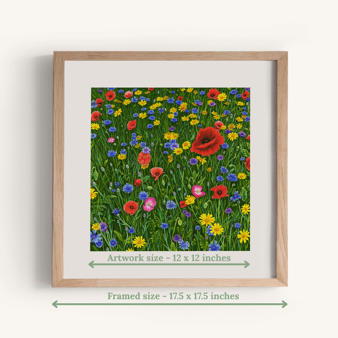 Among Wildflowers
