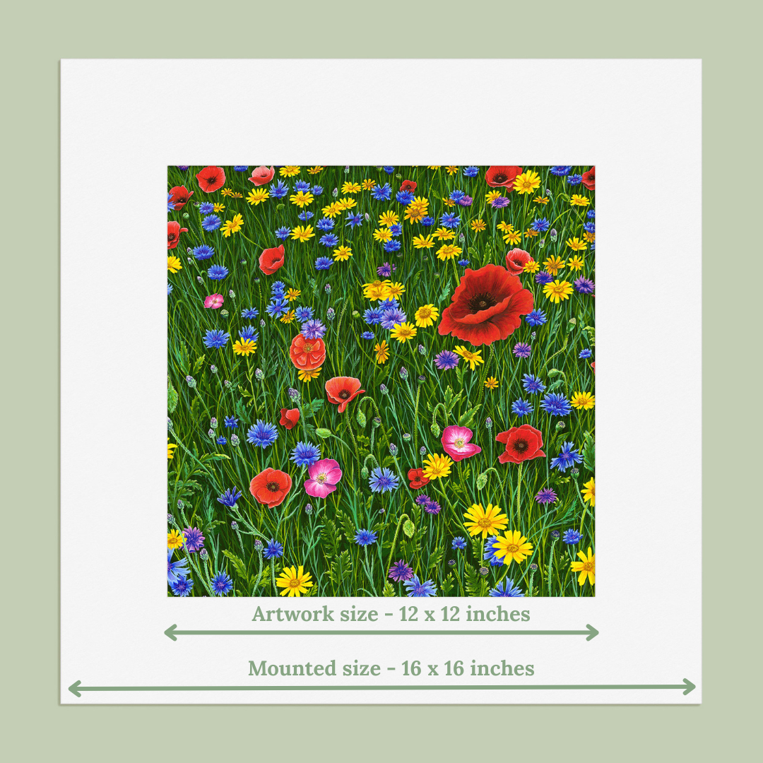 Among Wildflowers