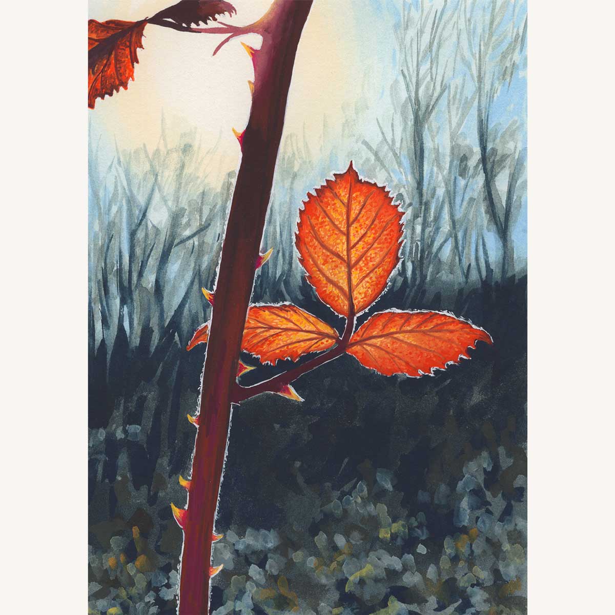Autumn Glow