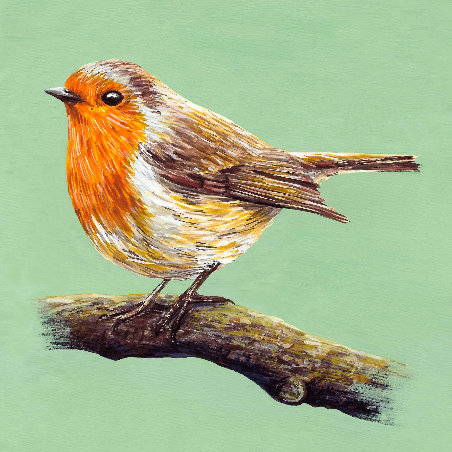 Robin A5 Print