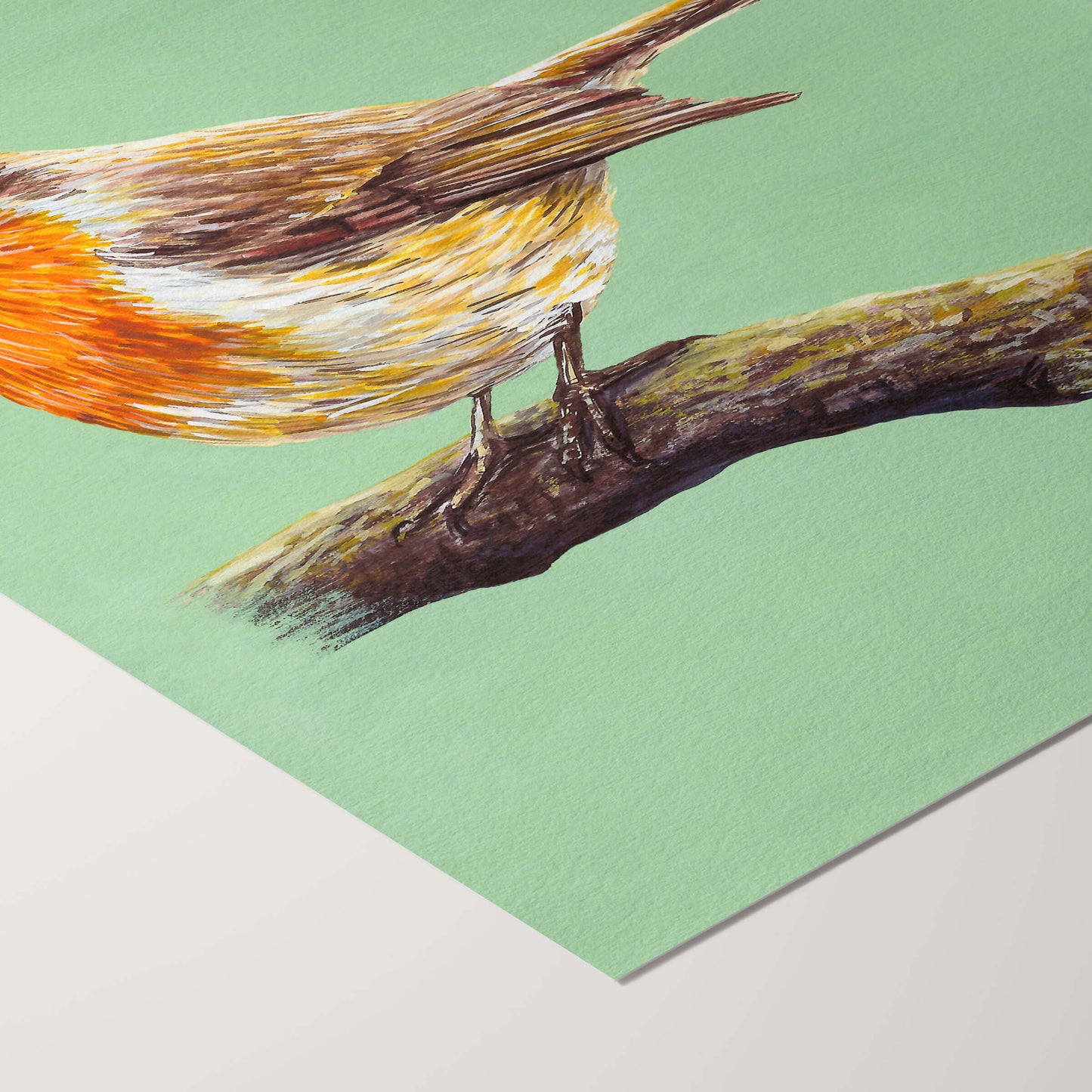 Robin A5 Print