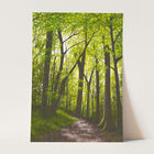 Dreaming Of Summer Print