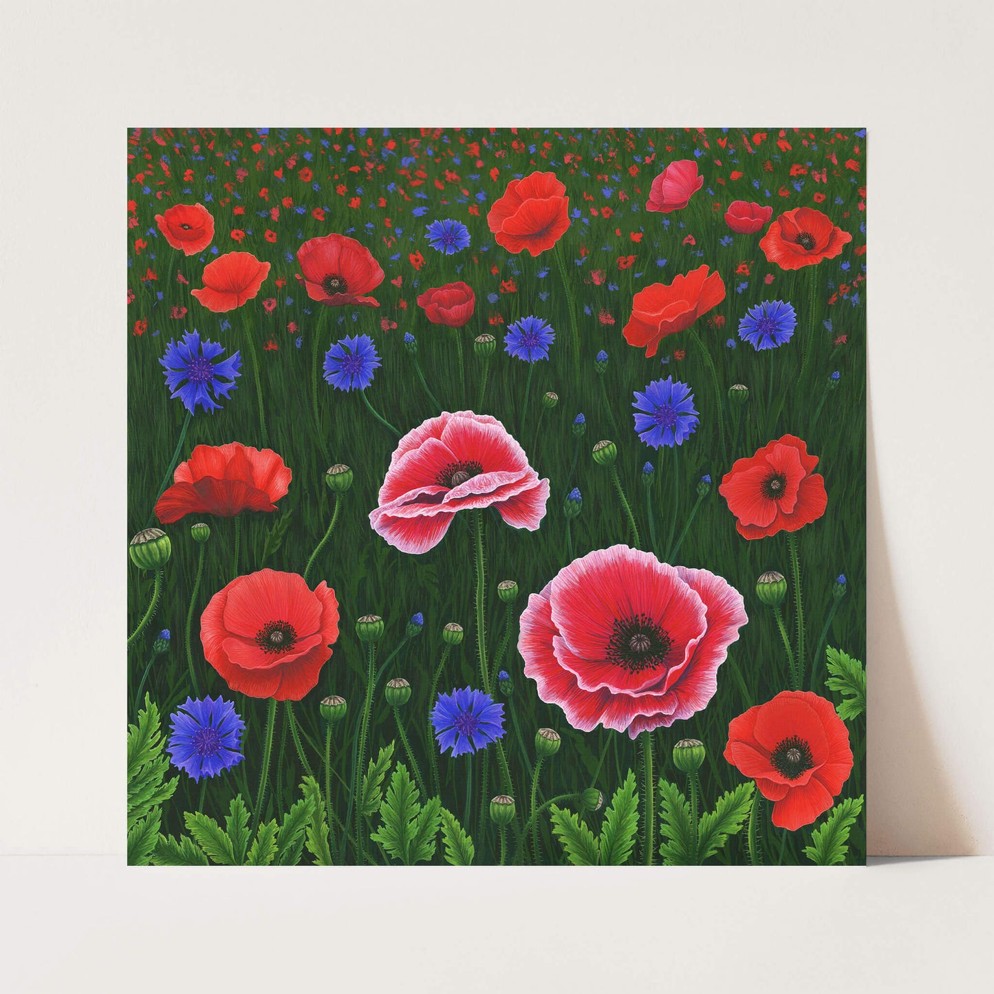 Flowers Of The Field Print