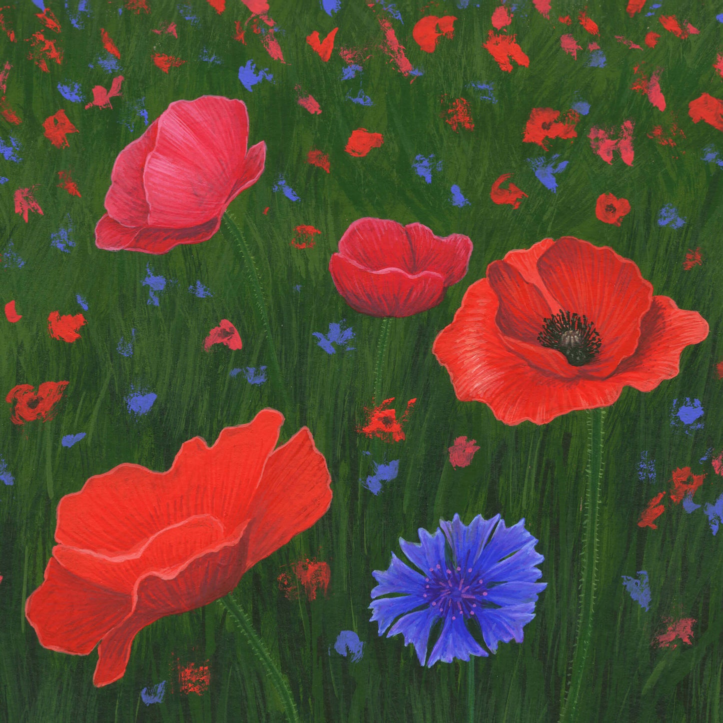 Flowers Of The Field