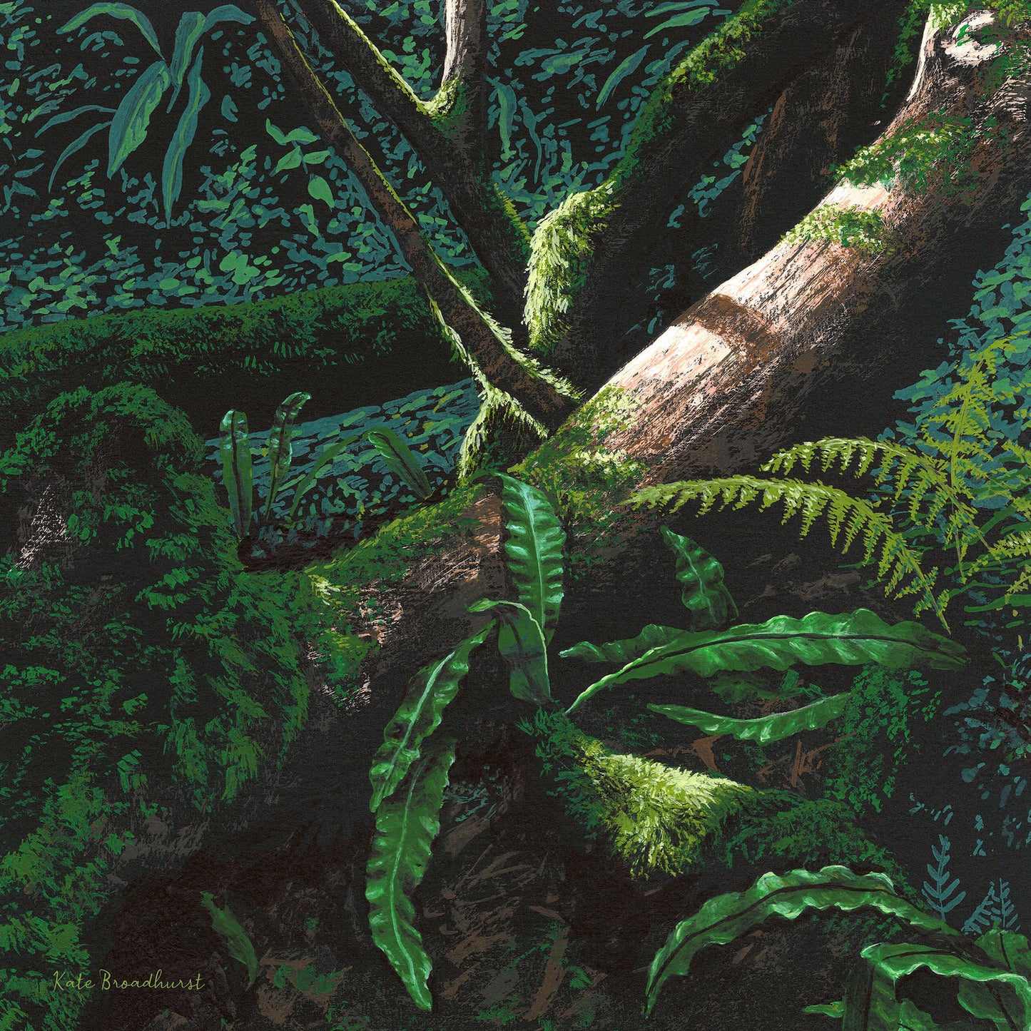 Forest Floor II Print