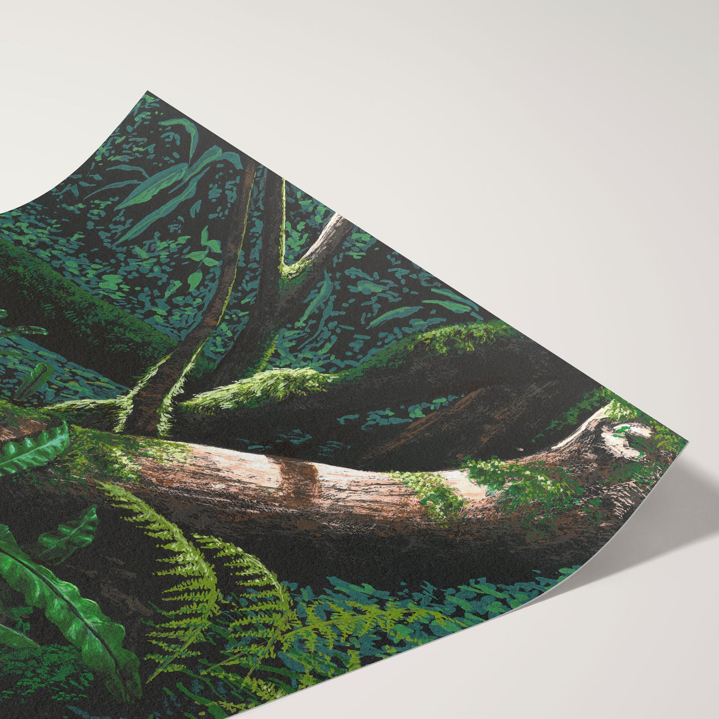 Forest Floor II Print