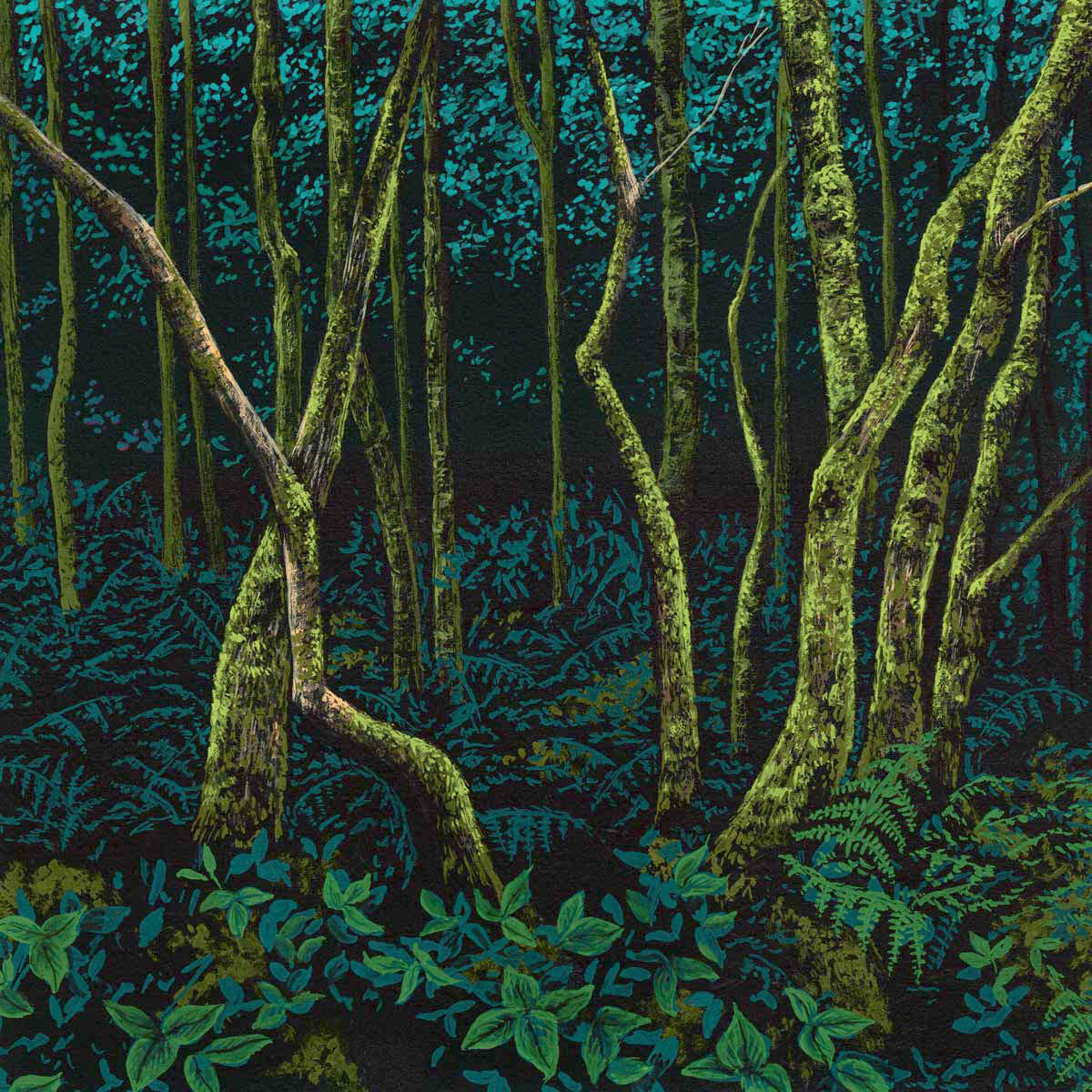 Forest Floor I