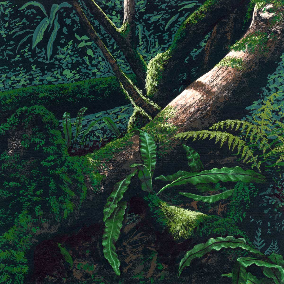 Forest Floor II