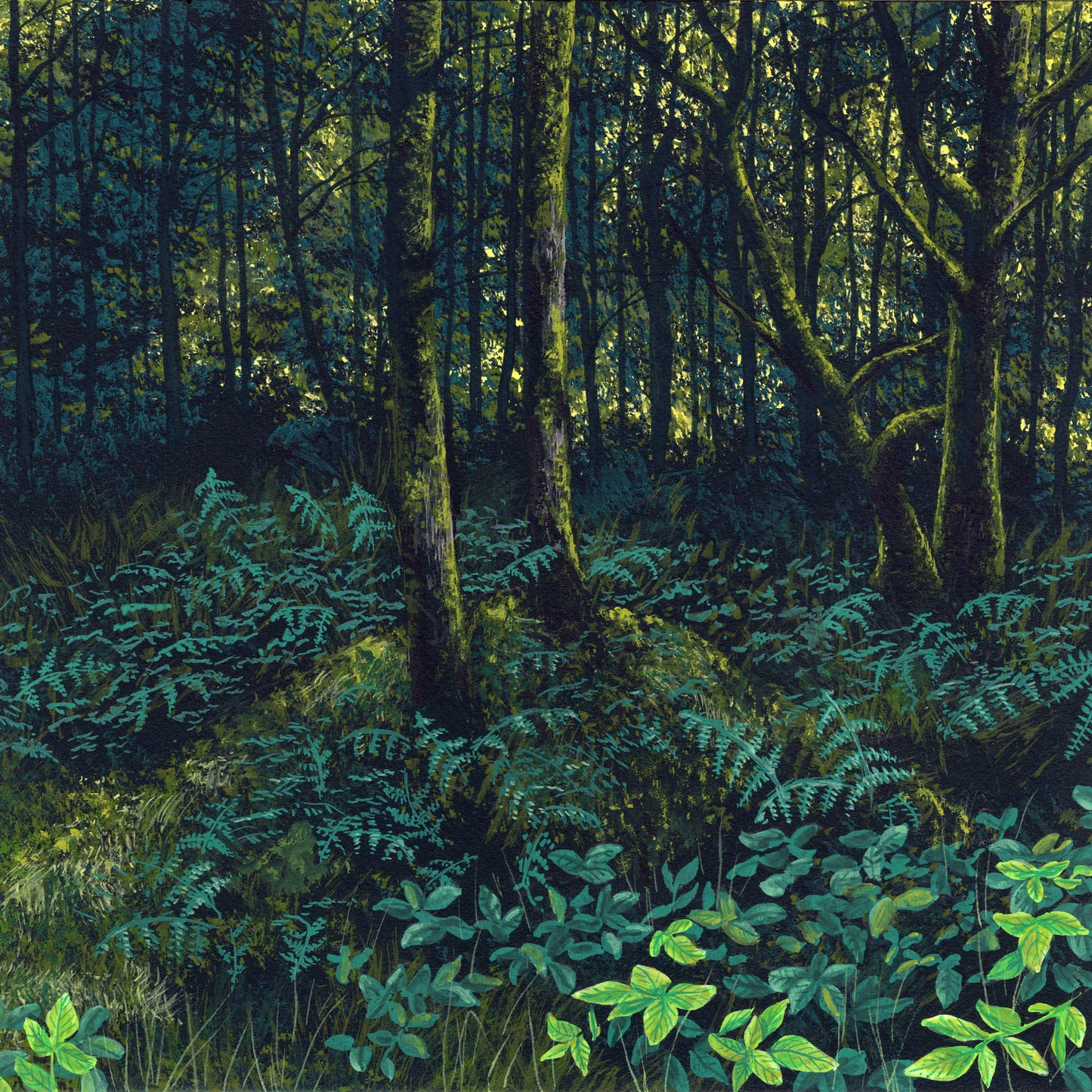 Forest Floor III