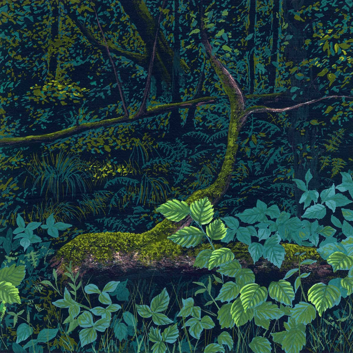 Forest Floor IV