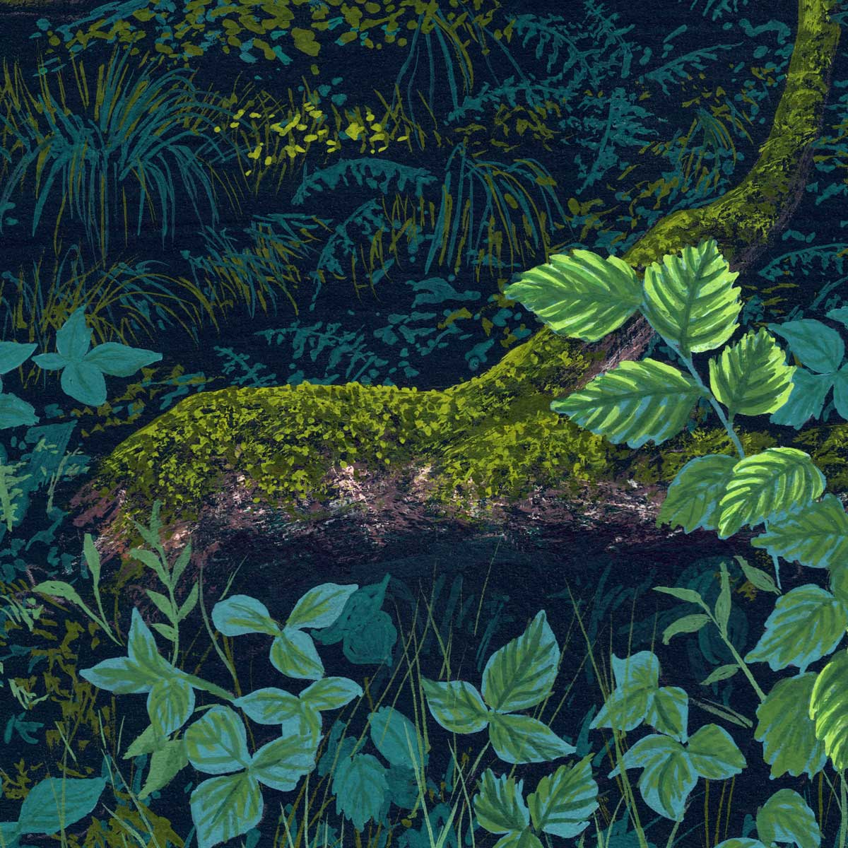 Forest Floor IV
