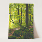 Heart Of The Forest Print