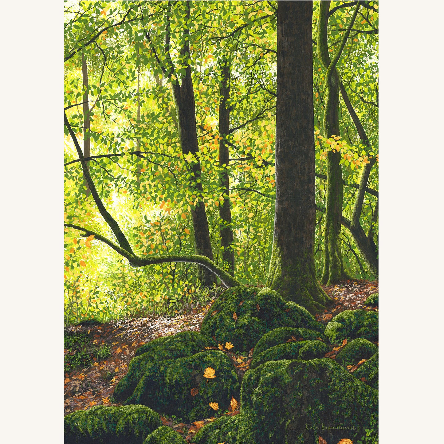 Heart Of The Forest Framed Print