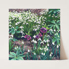 Hellebore & Snowdrops Print