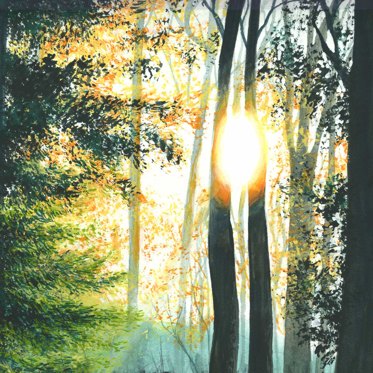 How The Light Gets In