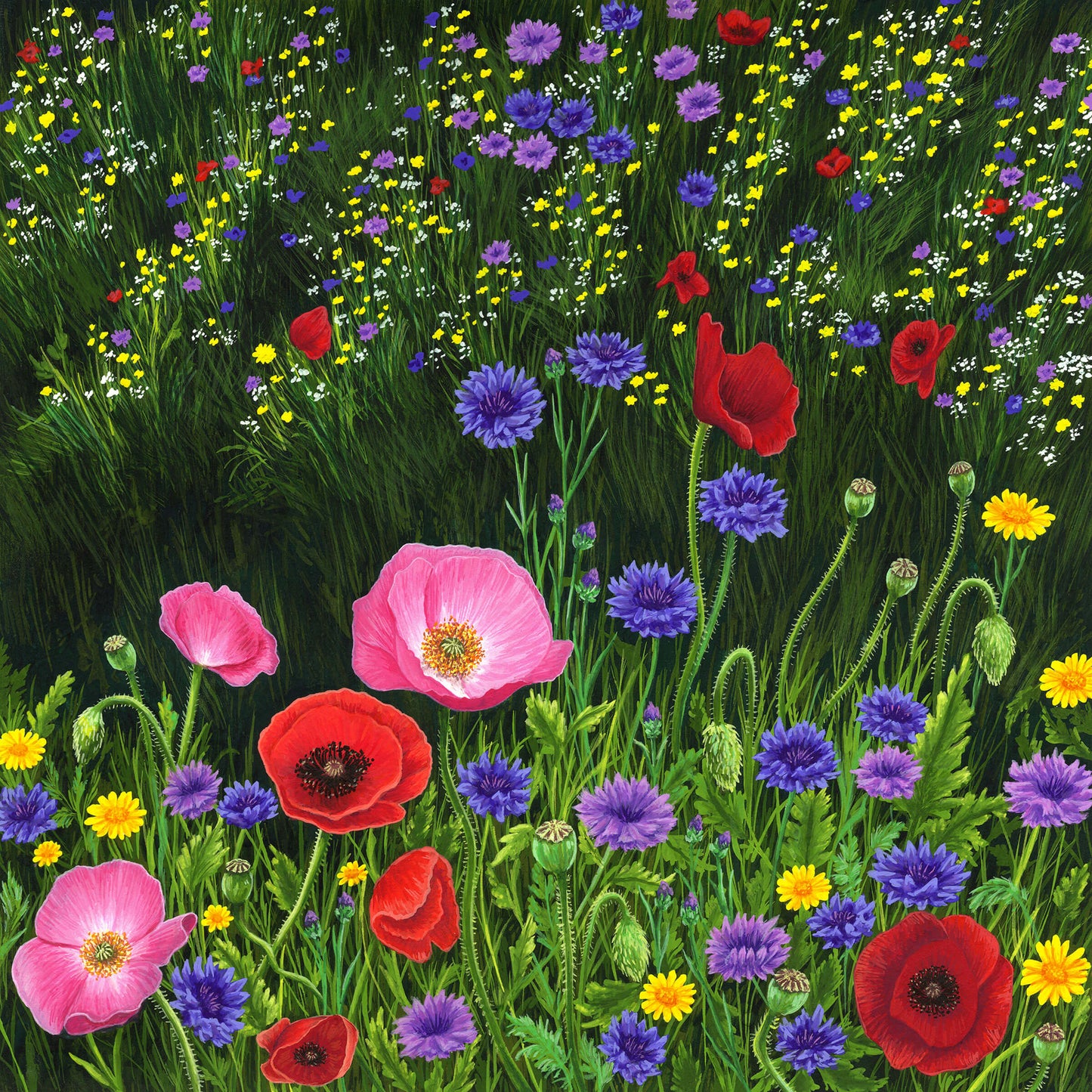 Meadow Dance