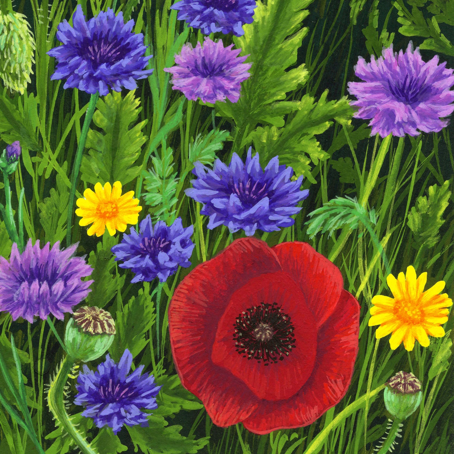 Meadow Dance