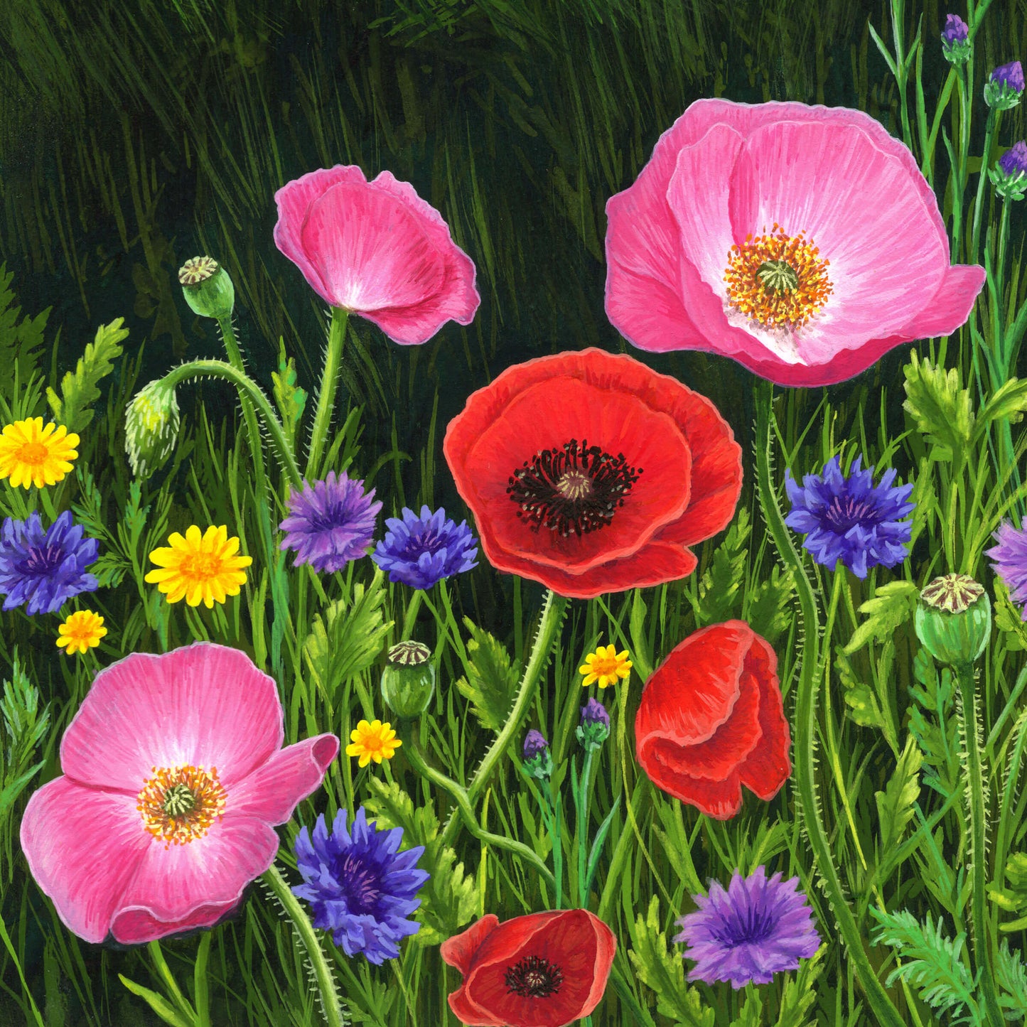 Meadow Dance