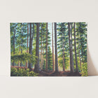 A Place To Roam Print