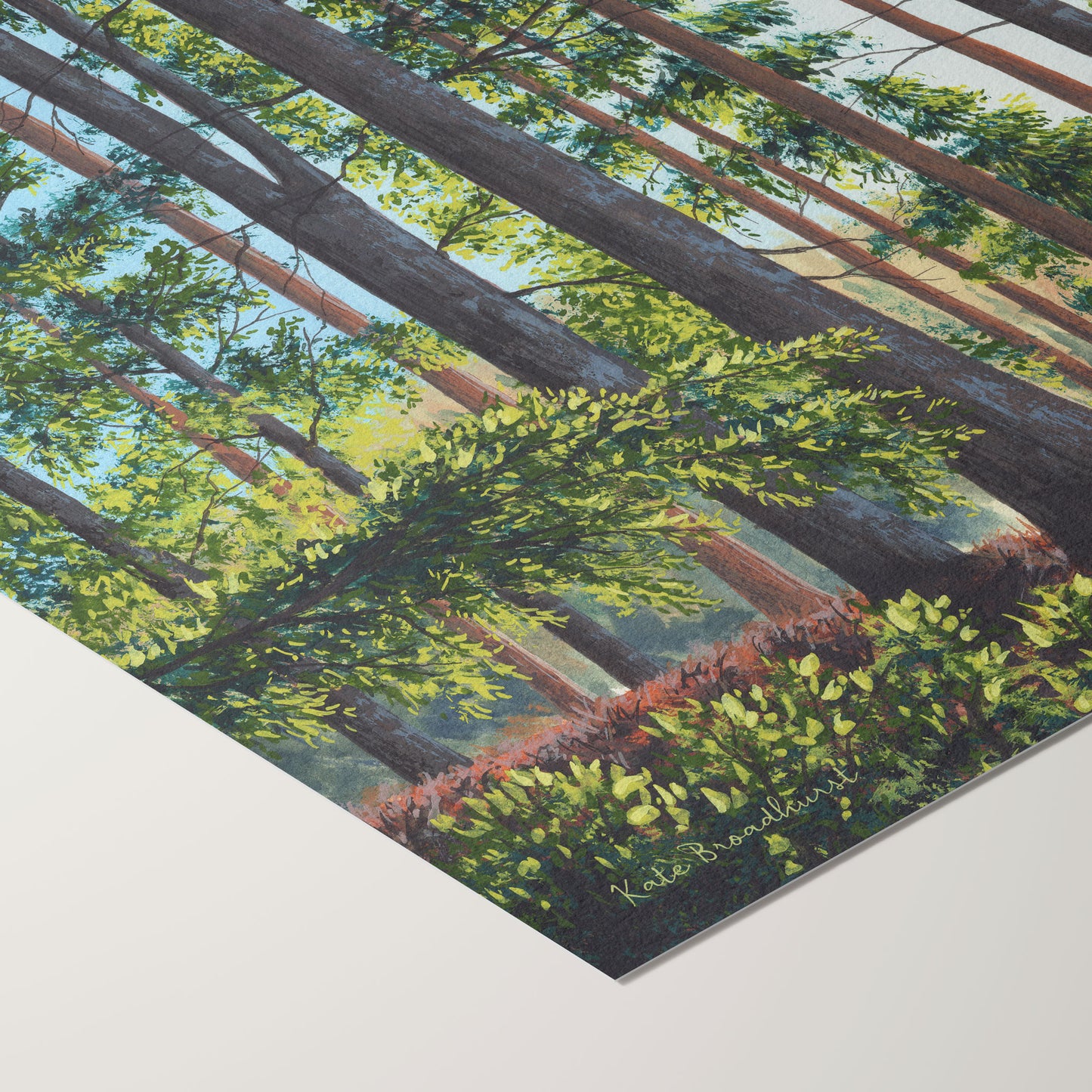 A Place To Roam Print
