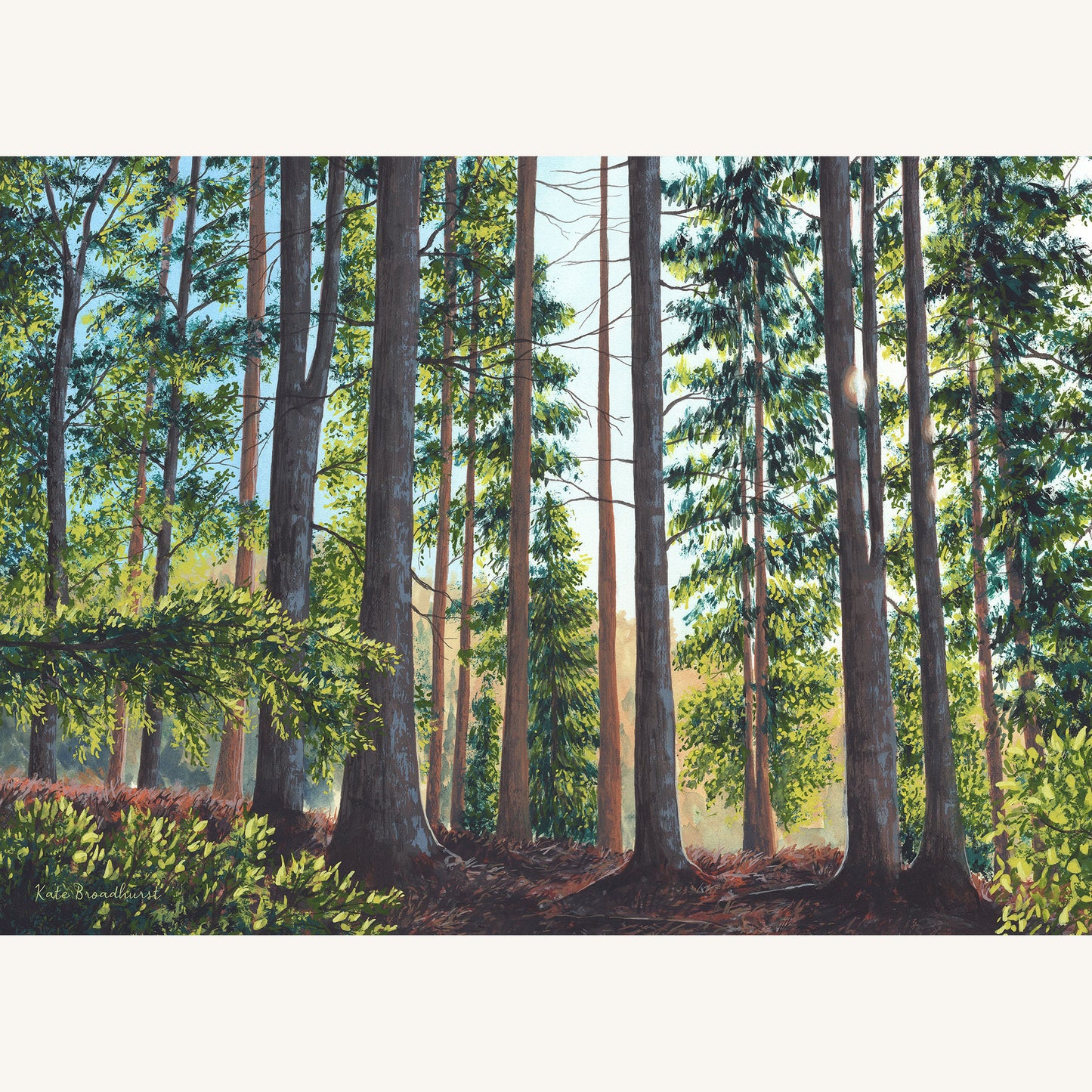 A Place To Roam Print