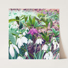 Snowdrops & Hellebore Print