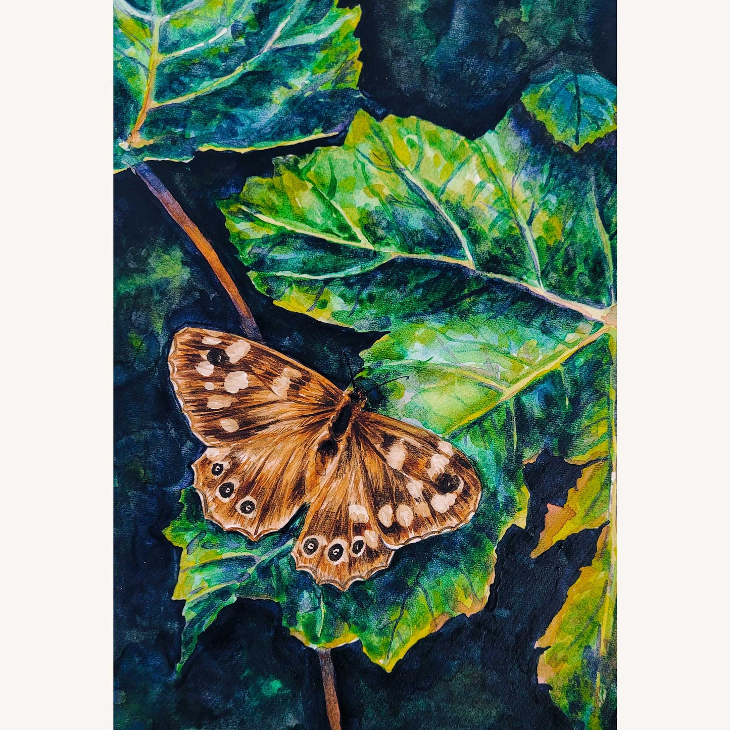 Speckled Wood in Watercolour