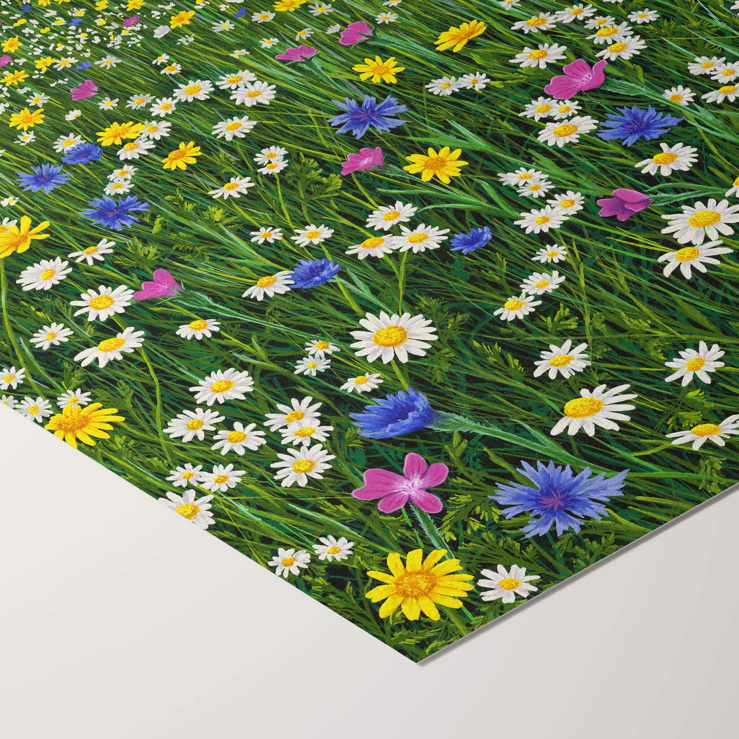 Sunshine And Daisies Print