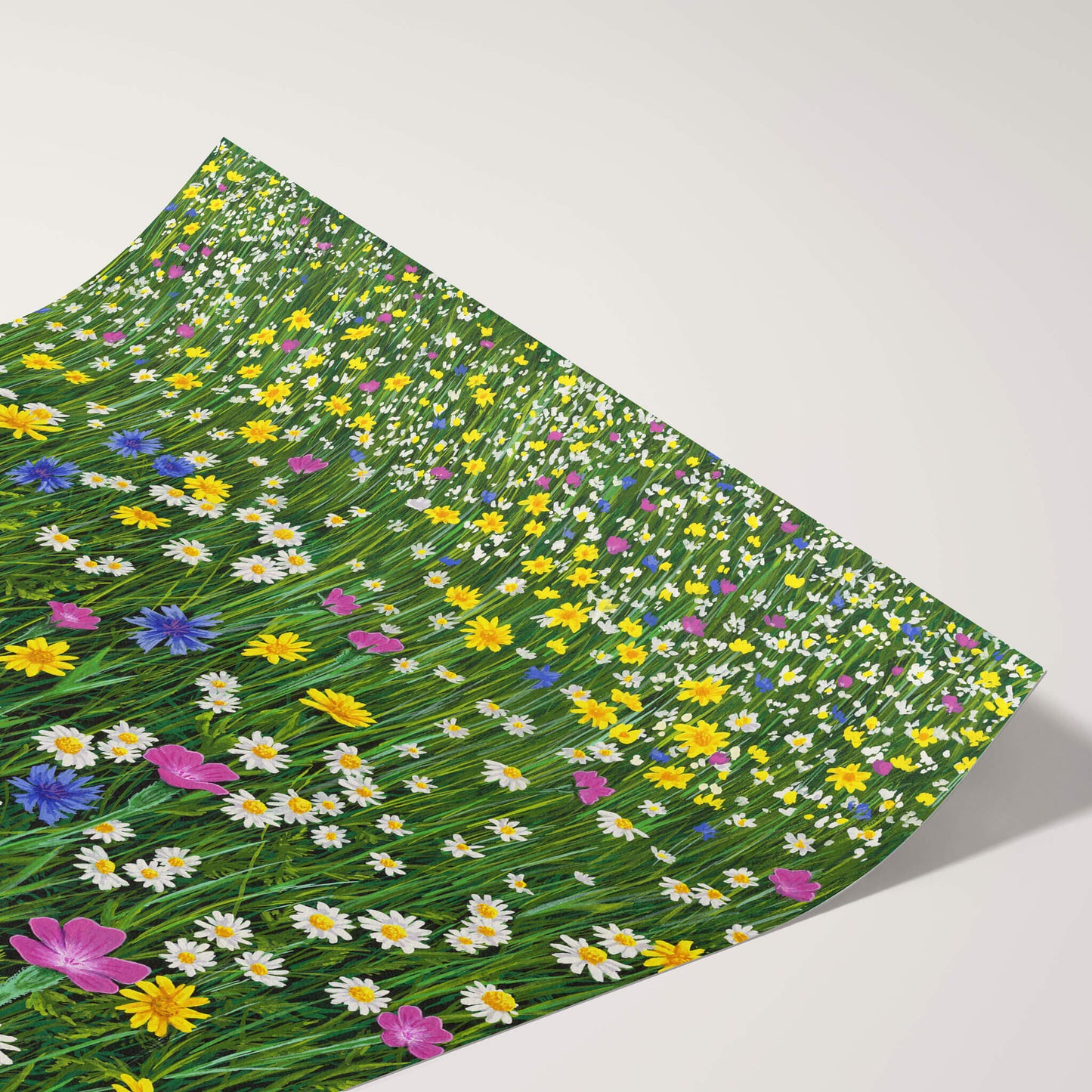 Sunshine And Daisies Print
