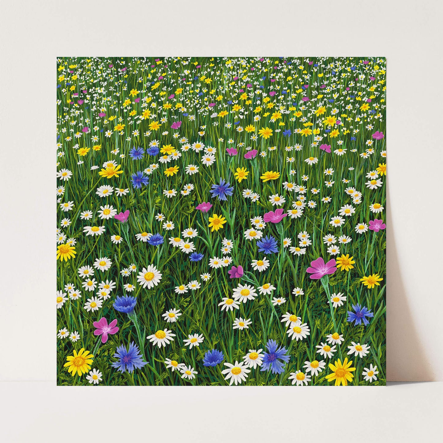 Sunshine And Daisies Print