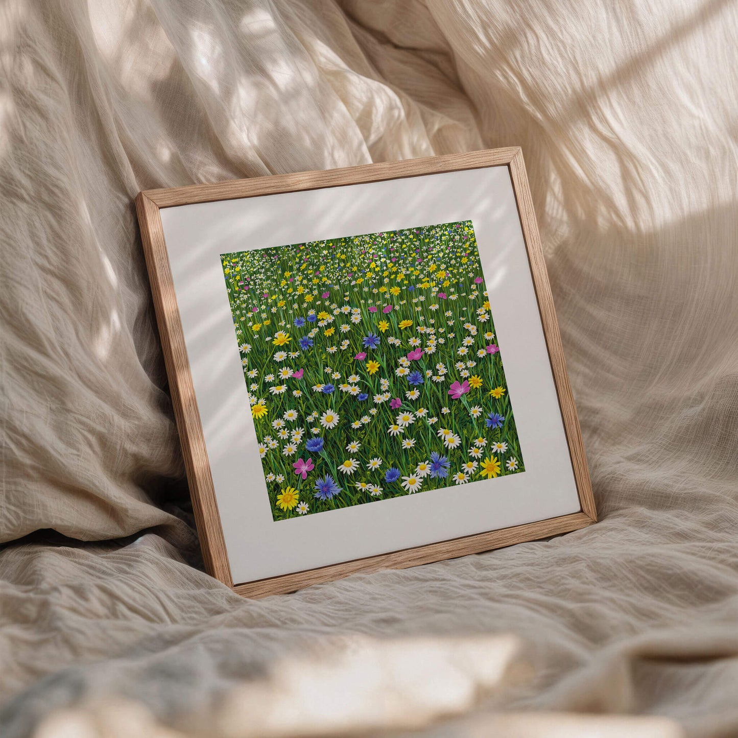 Sunshine And Daisies