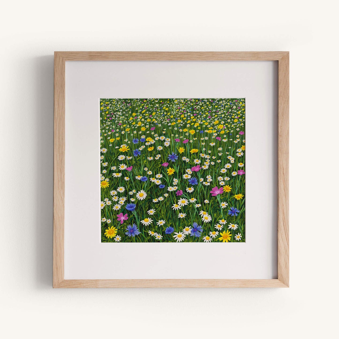 Sunshine And Daisies