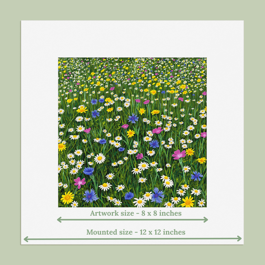 Sunshine And Daisies