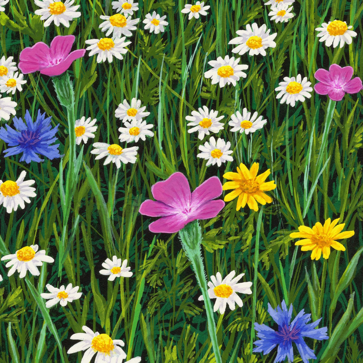 Sunshine And Daisies