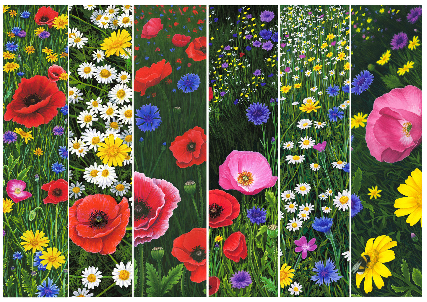 Wildflowers Test Print
