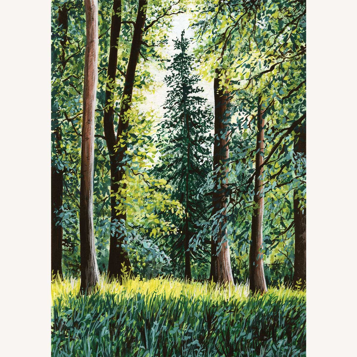The Patient Pine