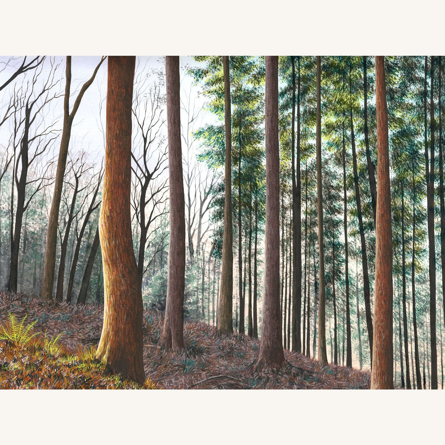 The Whispering Woods