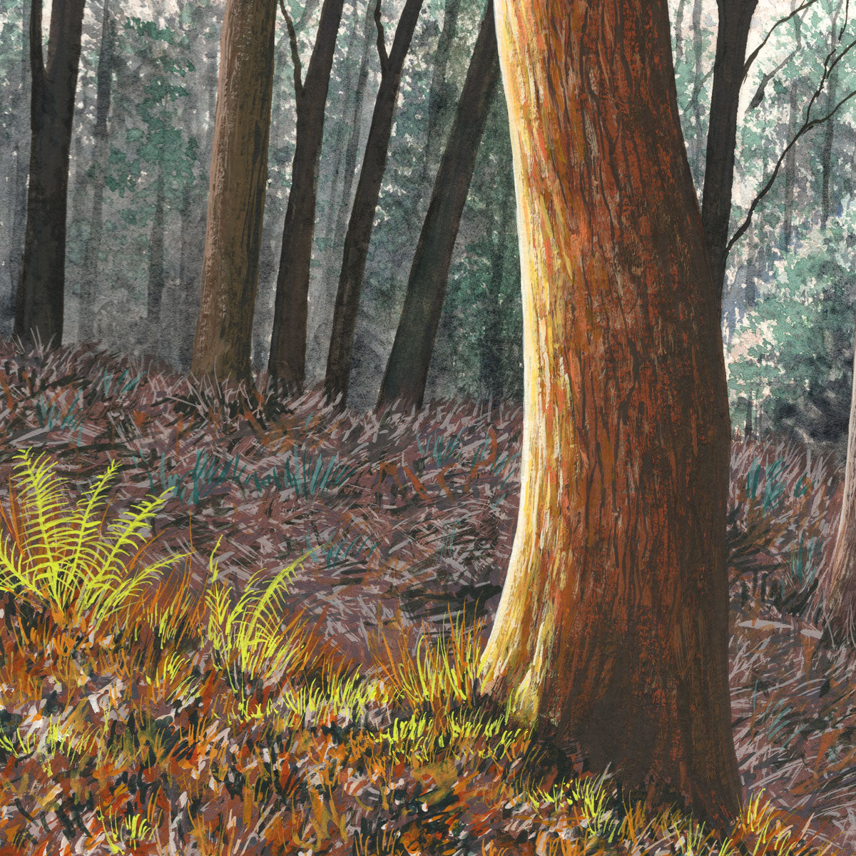 The Whispering Woods