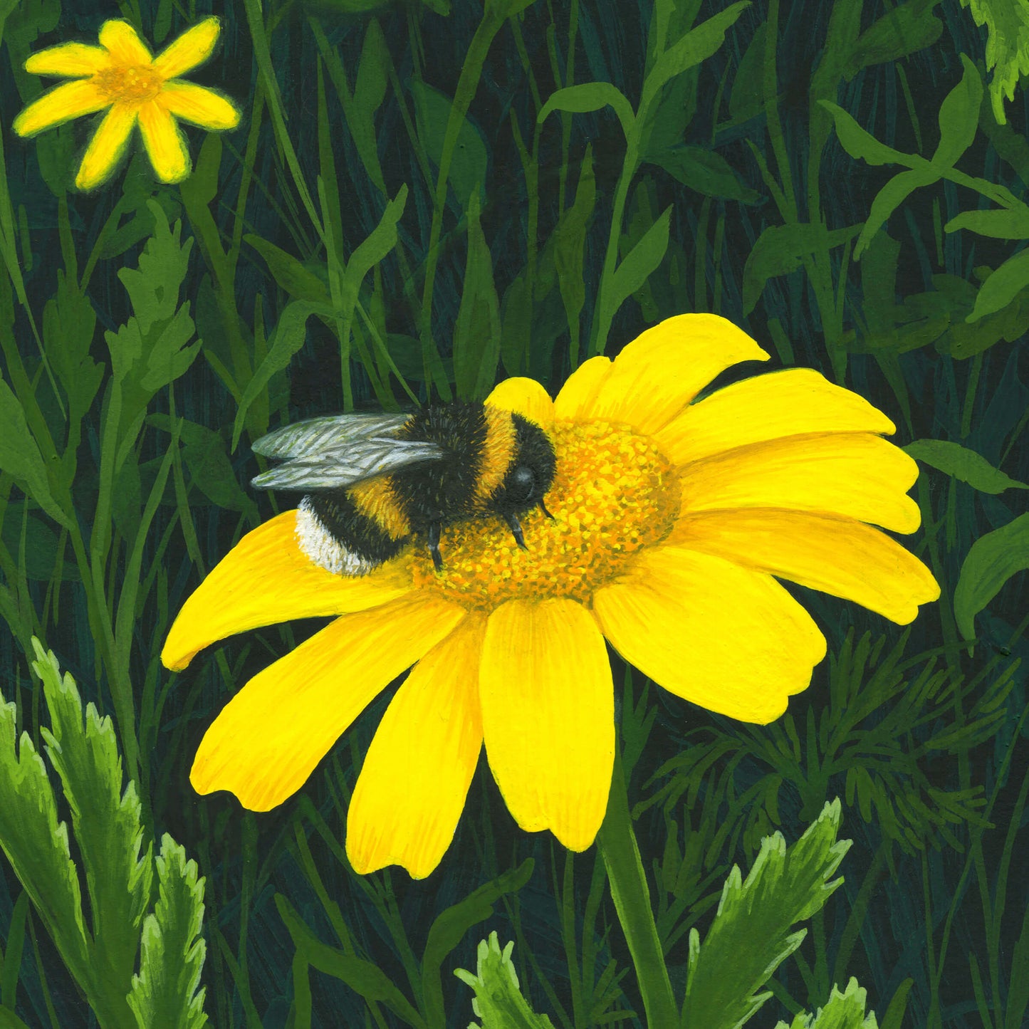 The Bee's Knees