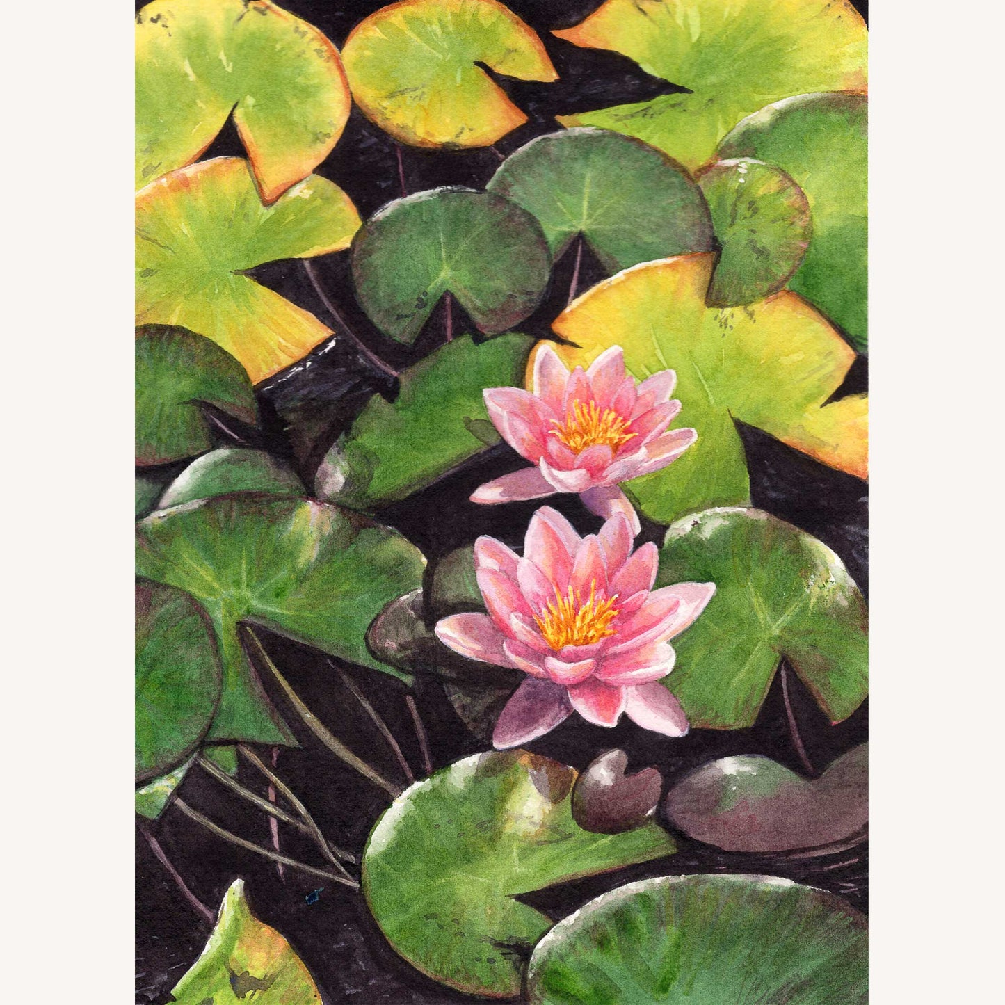 Waterlilies in Watercolour