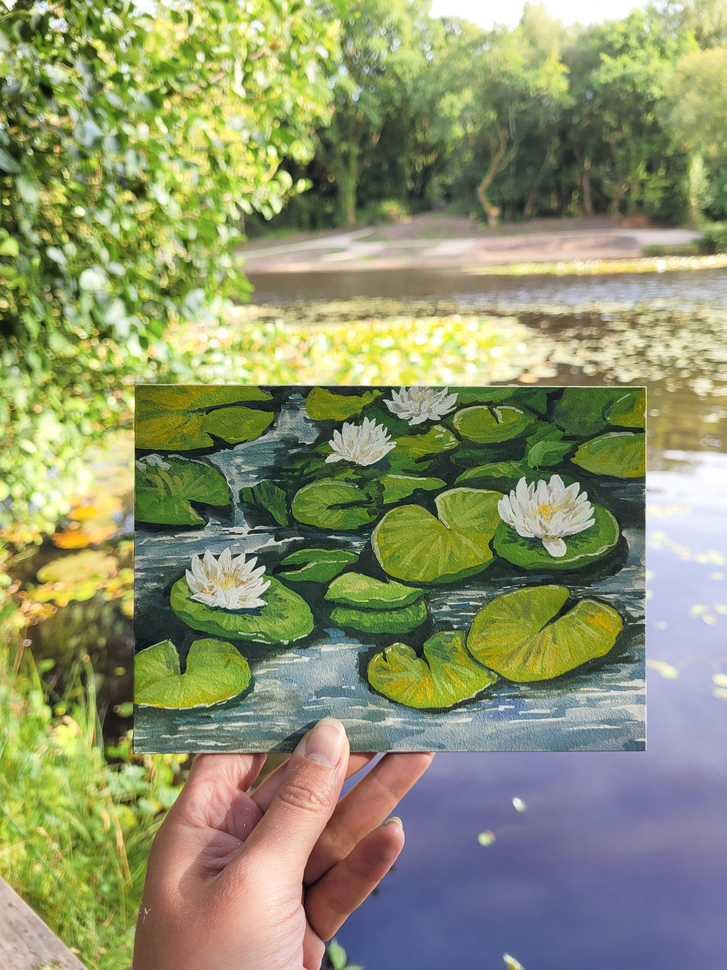White Waterlilies Original Painting