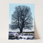 Wintering Print