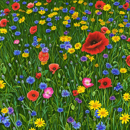 Among Wildflowers