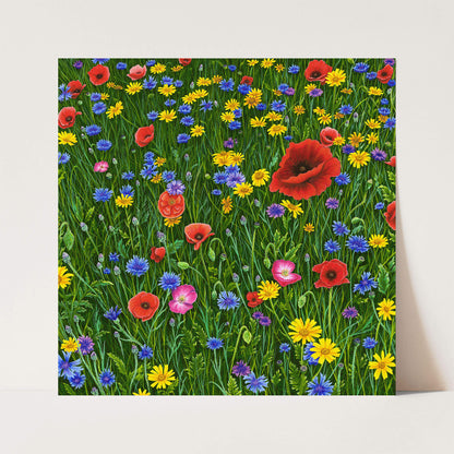 Among Wildflowers Print