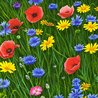 Among Wildflowers